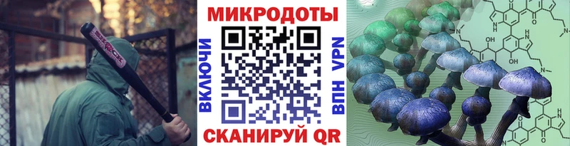 Галлюциногенные грибы ЛСД  Купить закладки  Ленинградская 